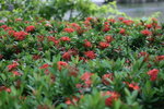 IMG_0455