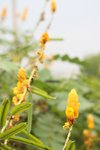 IMG_0127