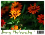 _MG_1423a