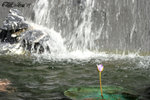 IMG_6002_20070709