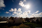 IMG_4555a