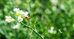 DSC_2907_1_web
