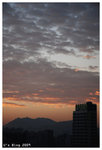 2009_1