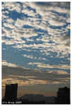 2009_2