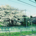 IMG_0458a