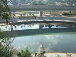 DSCF6639