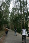 _MG_2984B