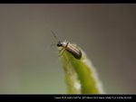 _MG_3034B