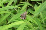 _MG_6319B