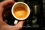 IMG_0386 copy-800