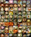 EL's LATTE-2000