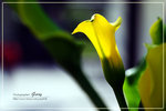 CRW_7894