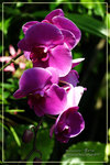 CRW_7912