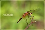 CRW_8929