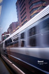 78040015