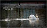 IMG_6545ps_nEO_IMG