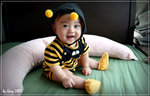 IMG_1210psefrz