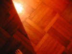 DSCN6536