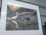 DSC00331