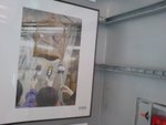 DSC00337