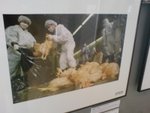 DSC00340