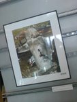 DSC00350