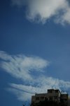 DSC_5478
