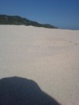 DSC00560