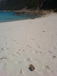 DSC00566