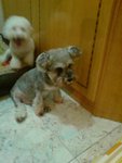 �̫�Y谤k���,�Ǥ��������|���J����������J������