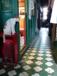 DSC00117