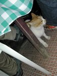 DSCN5888