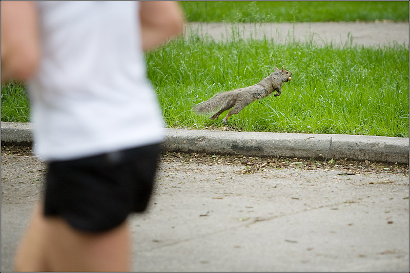 IMAGE: http://images2.fotop.net/albums2/isp/marathon2008/6K2J1828.jpg