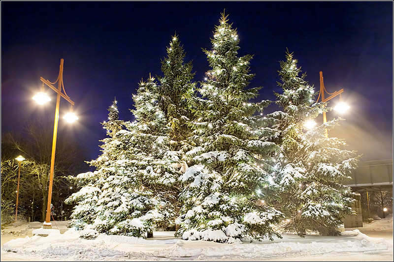 IMAGE: http://images2.fotop.net/albums2/isp/miscellaneous/1D3_5072.jpg