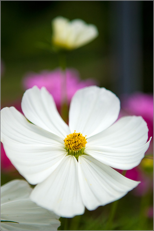 IMAGE: http://images2.fotop.net/albums2/isp/miscellaneous/6K2J2043.jpg