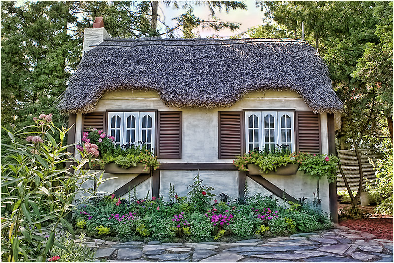 IMAGE: http://images2.fotop.net/albums2/isp/miscellaneous/6K2J2202.jpg