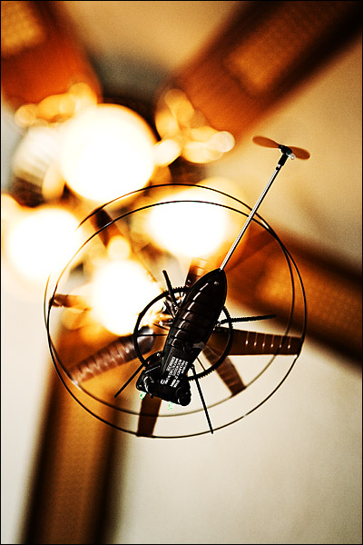 IMAGE: http://images2.fotop.net/albums2/isp/miscellaneous/IMG_7917.jpg