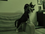 DSC01713