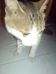 DSC02075