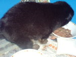 DSC01998