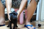 dog girl 1