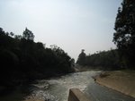 IMG_0474