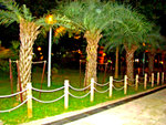 
DSC00754