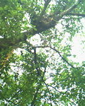 IMG0019A