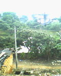 IMG0023A