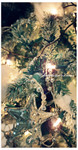 Xmas001