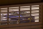 Peeping