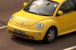 Beetle