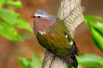 
CRW_0880