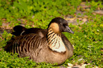 
CRW_2423